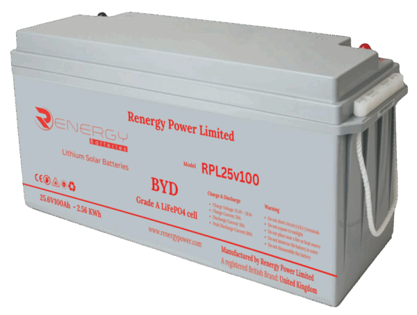 Renergy Power RPL25V100