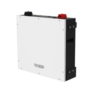 Dyness 5.12kWh LV Lithium battery